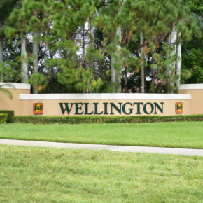 Wellington, Florida Homes for Sale